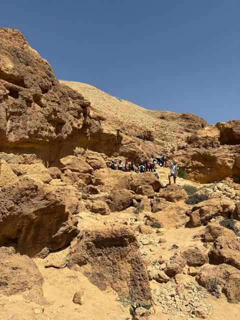 תלמידים במסע שנתי בטבע